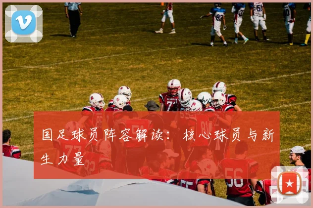 国足球员阵容解读：核心球员与新生力量